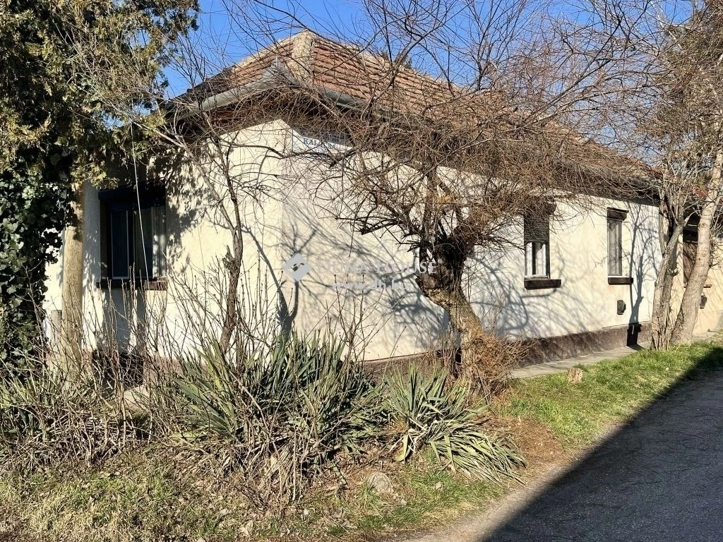 Kecskemét belávárosában 70 m2-es családi ház, LAKÁS ÁRON eladó