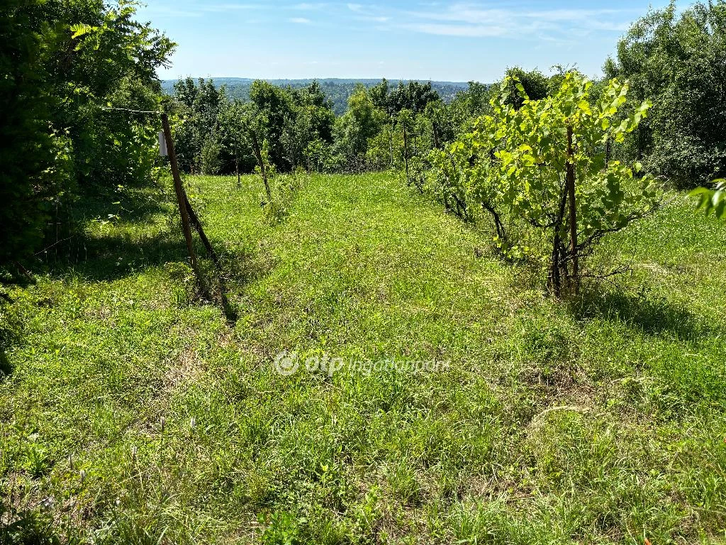 For sale periphery plot, Miskolc, Csermőkei út