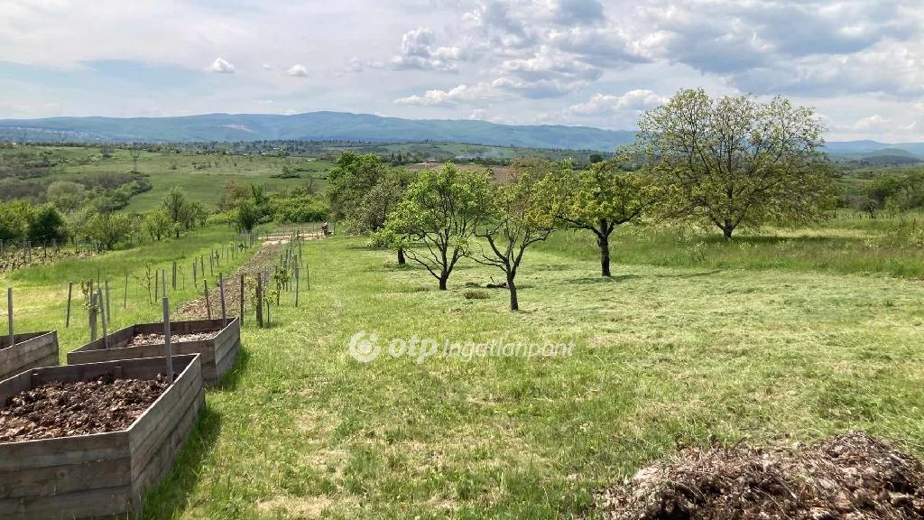 For sale periphery plot, Miskolc