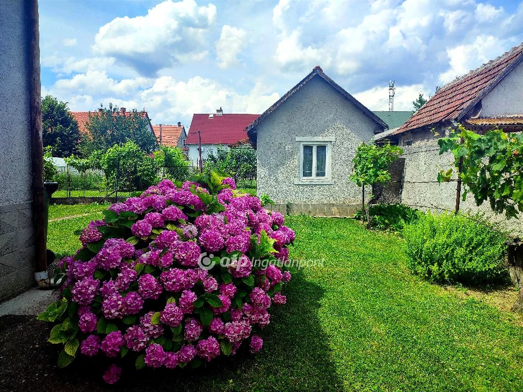 Eladó Ház, Nyékládháza