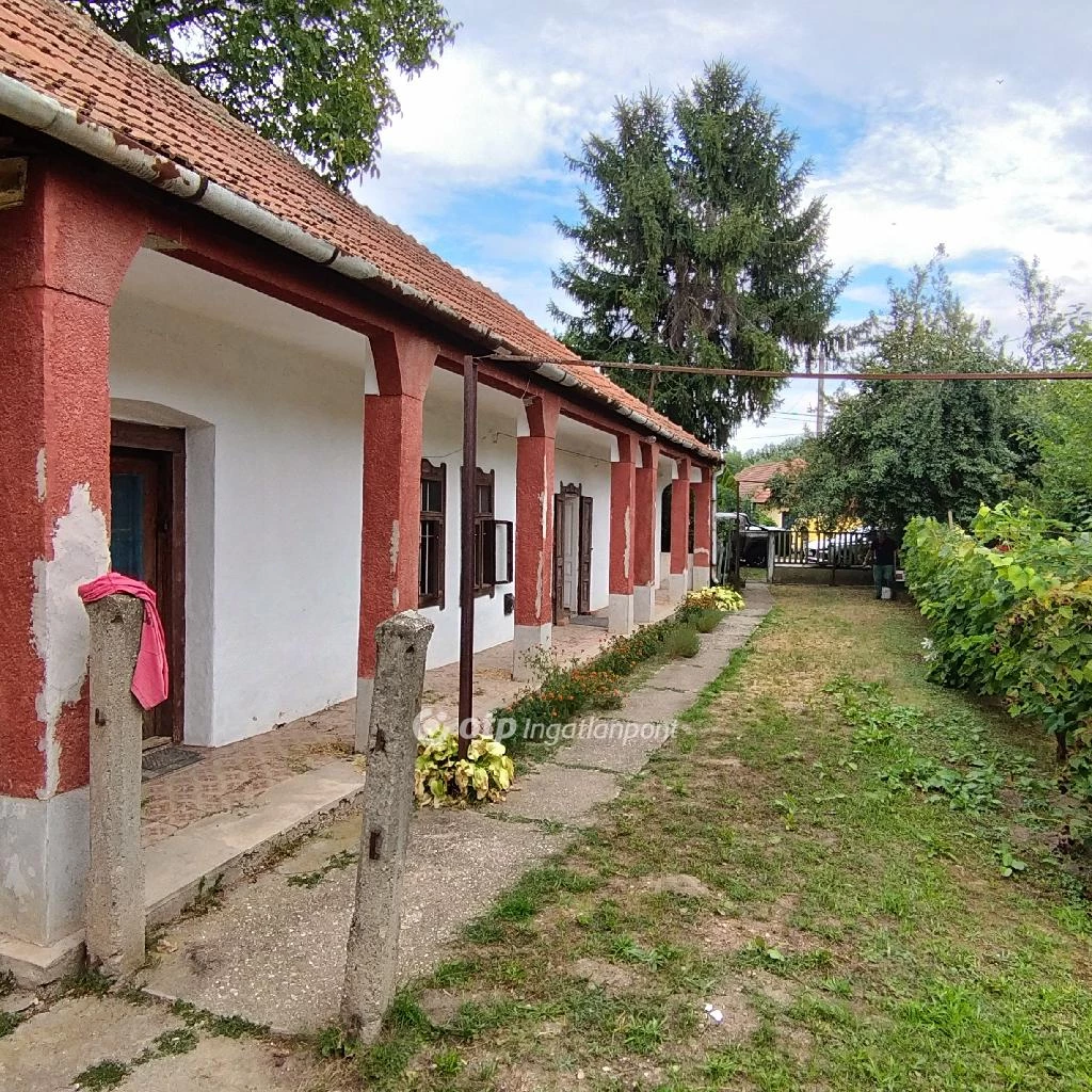 For sale house, Onga