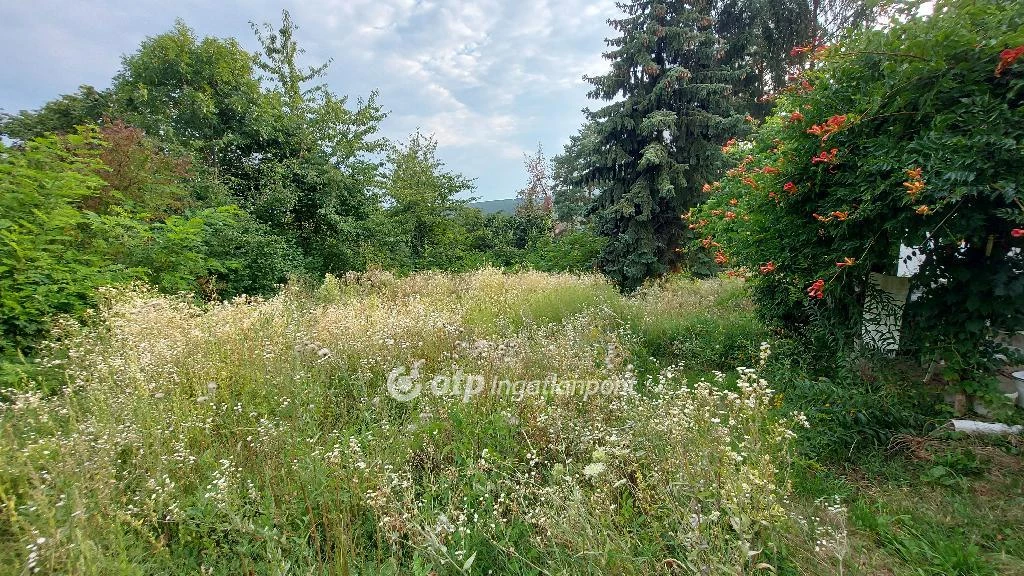 For sale periphery plot, Miskolc