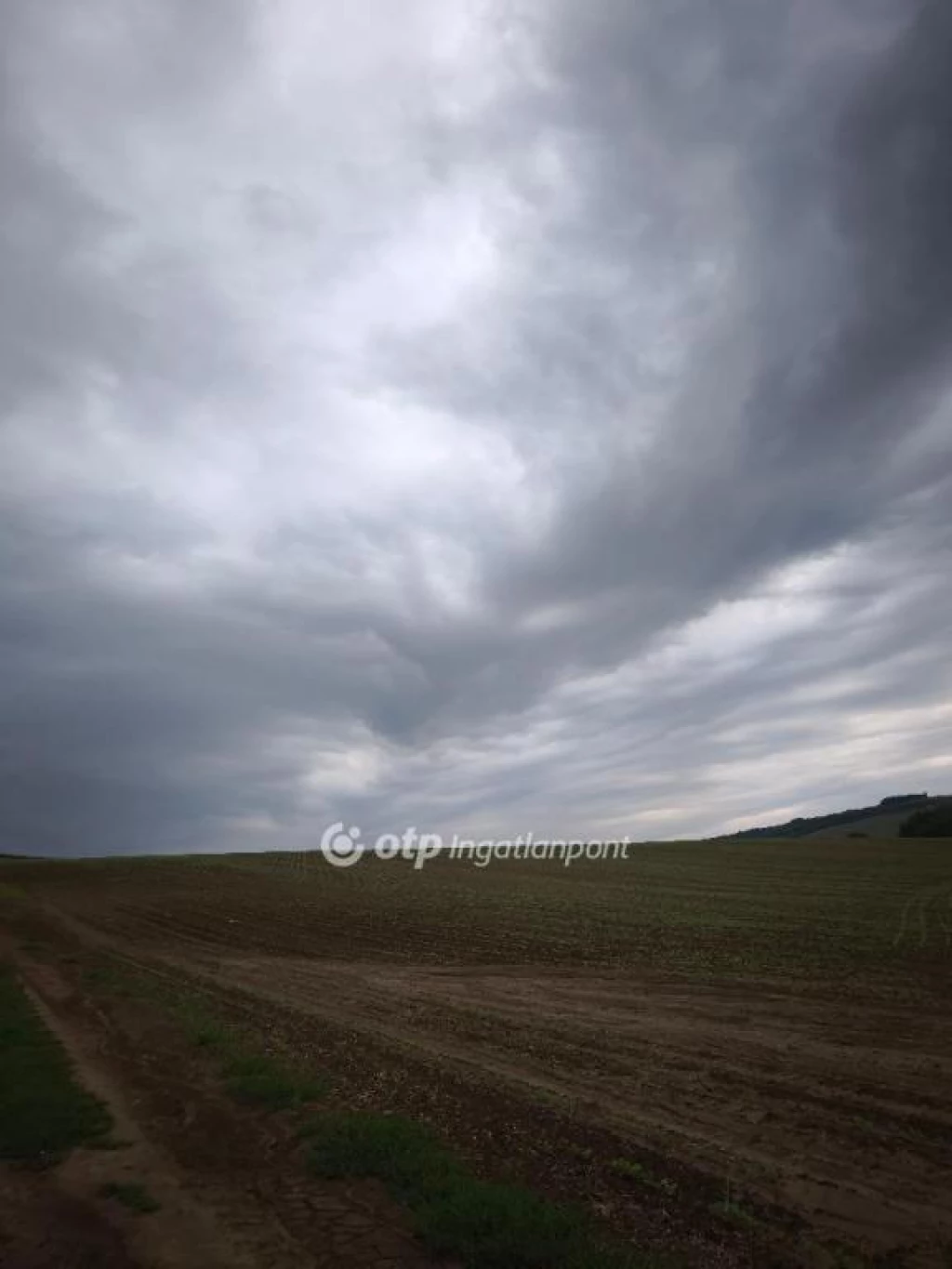Eladó Mezőgazdasági, Homrogd