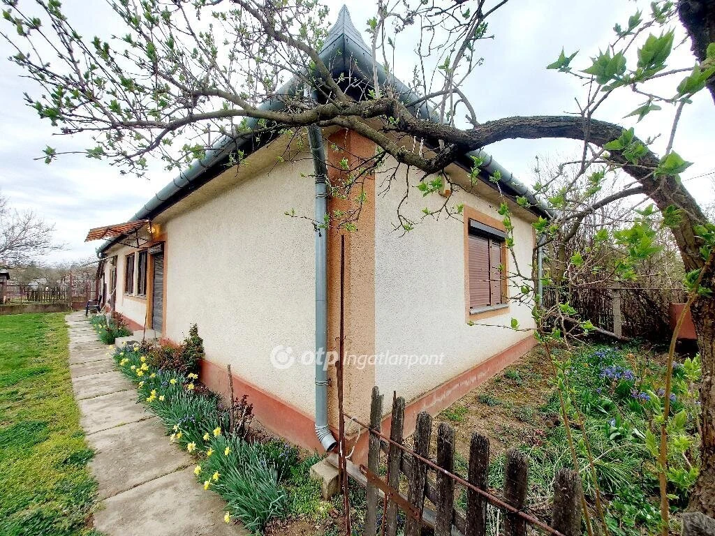 c3-1-name c2-1-name, Gesztely