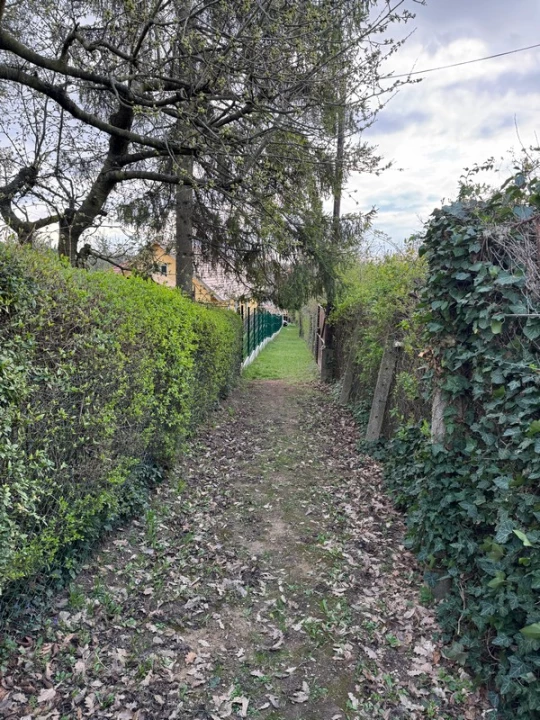 Eladó egyéb telek, Budakeszi