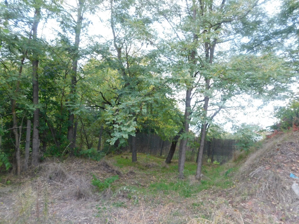 c3-1-name c2-84-name, Vác, Václiget