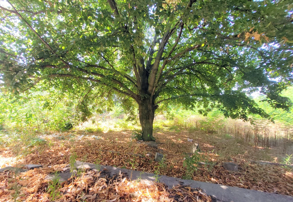 For sale building plot, Csörög, Csörög