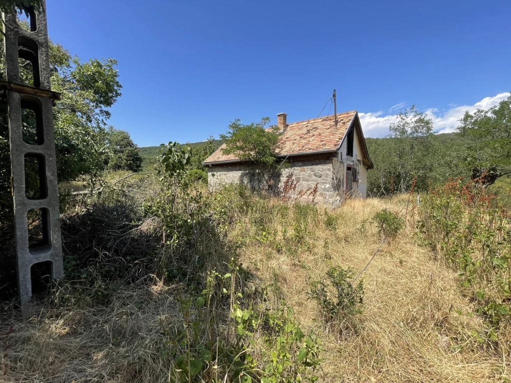 c3-1-name c2-50-name, Szentendre, Pismány