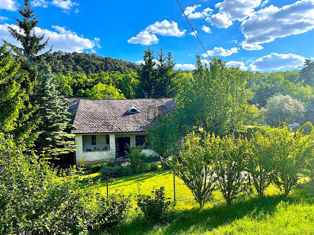 For sale house, Budapest II. kerület, Szépvölgy