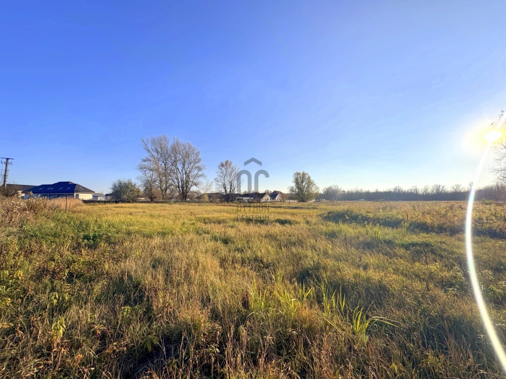 Eladó építési telek, Szada, Fenyvesliget