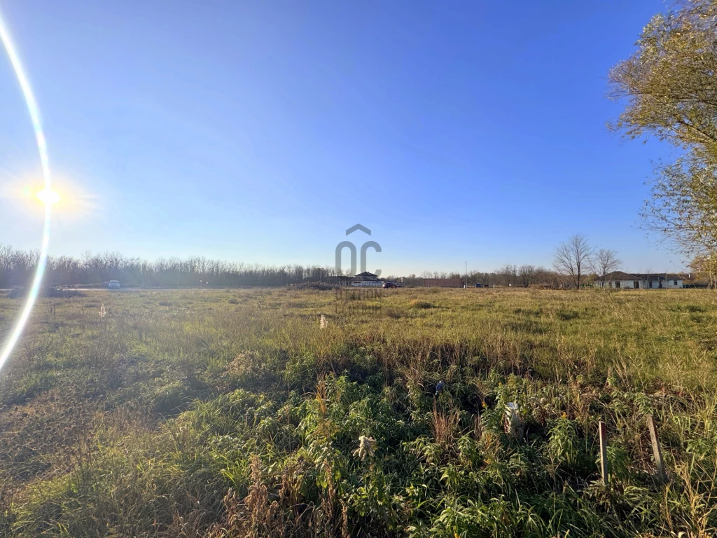 Eladó építési telek, Szada, Fenyvesliget