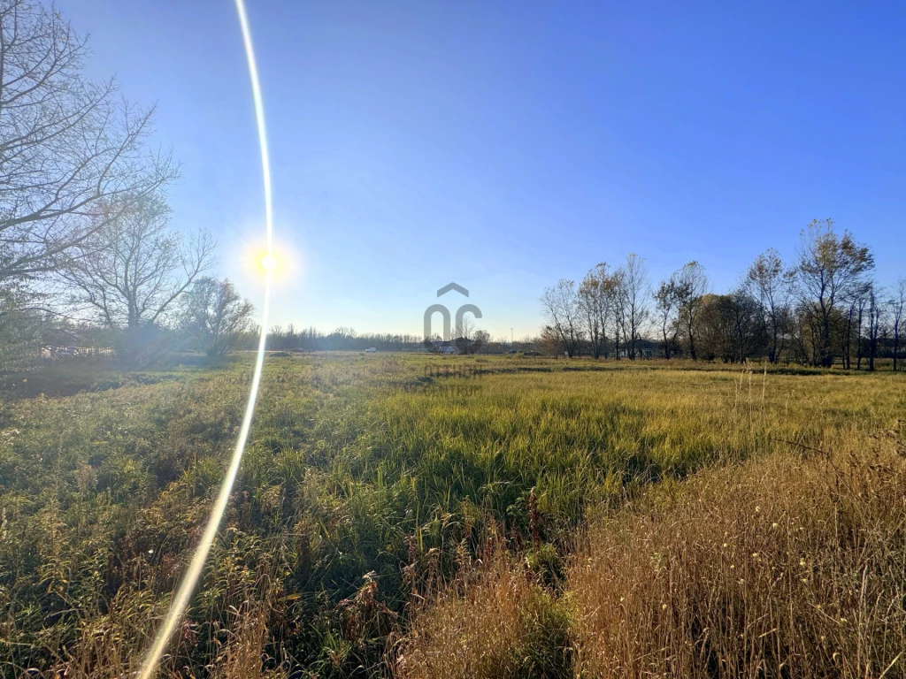 Eladó építési telek, Szada, Fenyvesliget