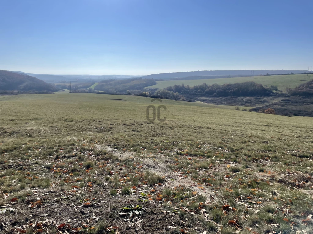 Eladó egyéb mezőgazdasági ingatlan, Kosd, Kosd