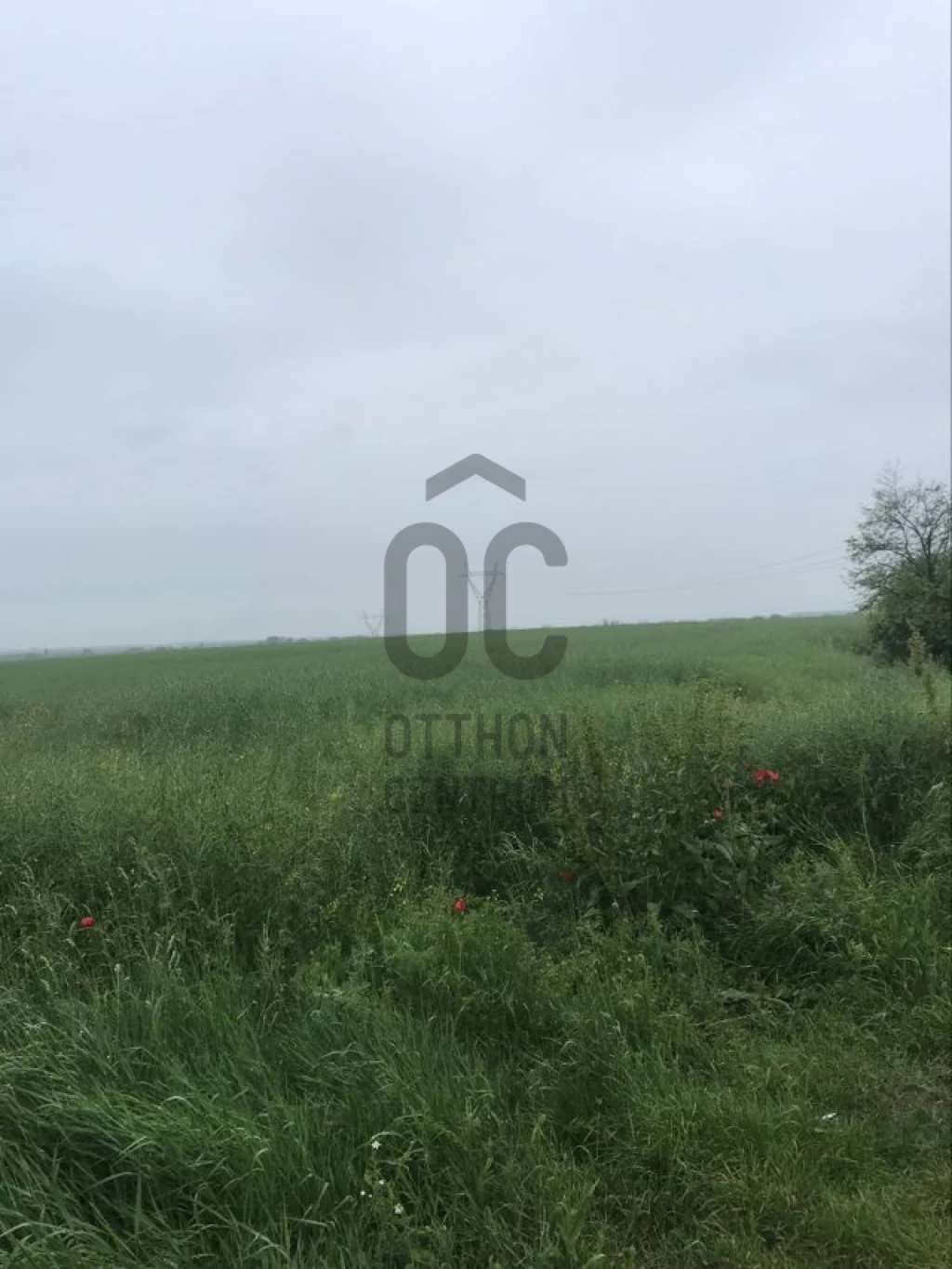 Eladó egyéb mezőgazdasági ingatlan, Vácrátót, Vácrátót