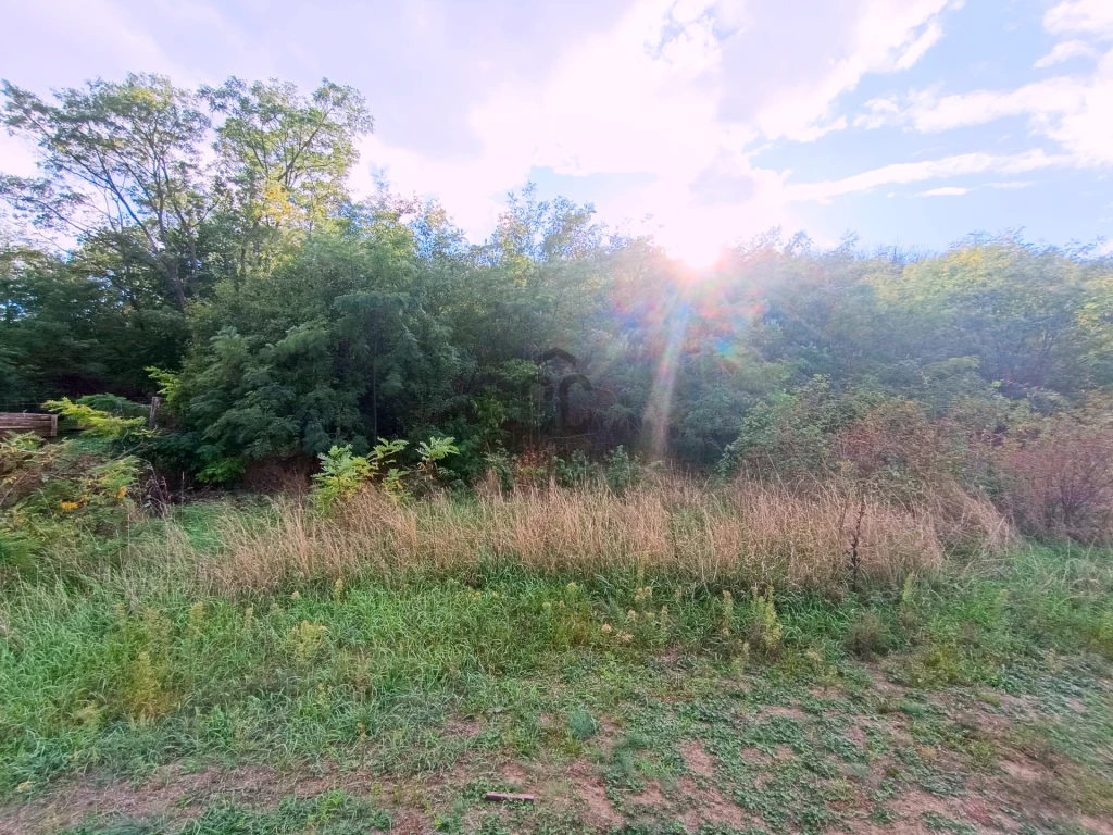 Eladó egyéb mezőgazdasági ingatlan, Csomád, Lestyina