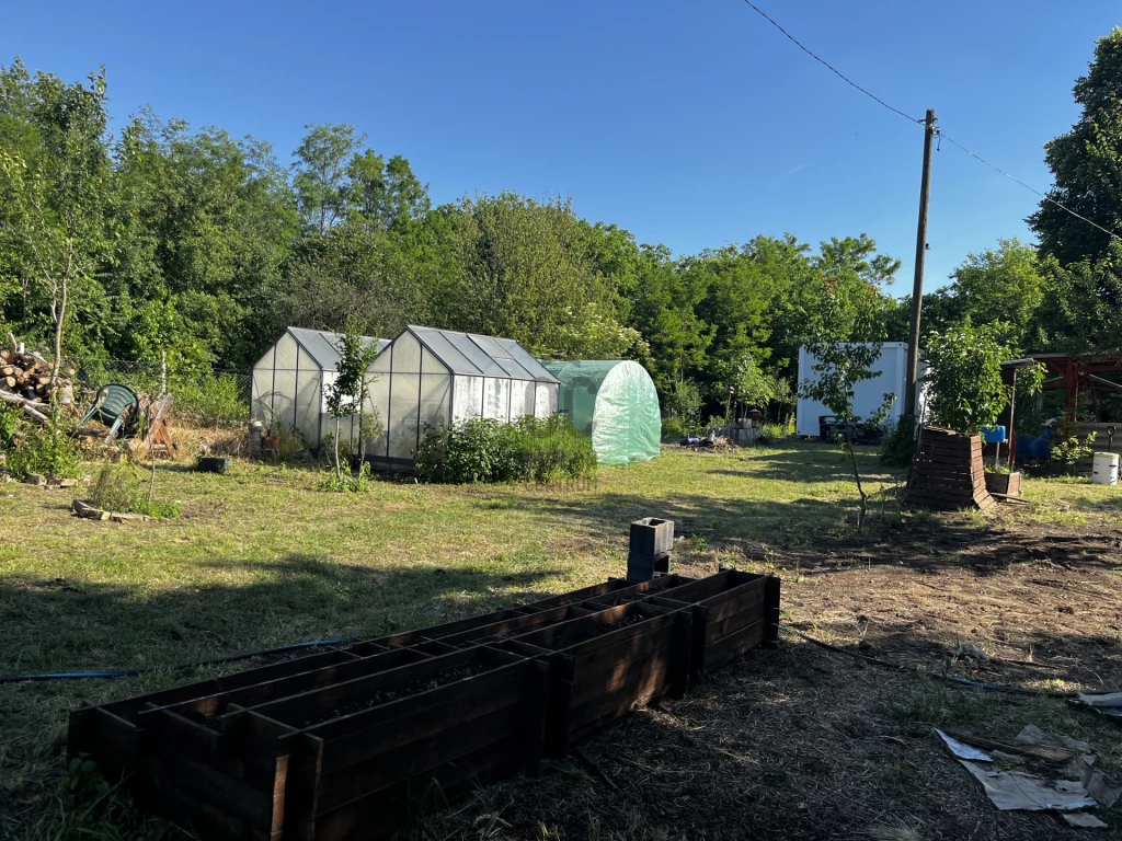 Eladó külterületi telek, Tóalmás, Öregszőlő