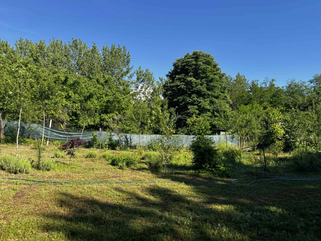 Eladó külterületi telek, Tóalmás, Öregszőlő