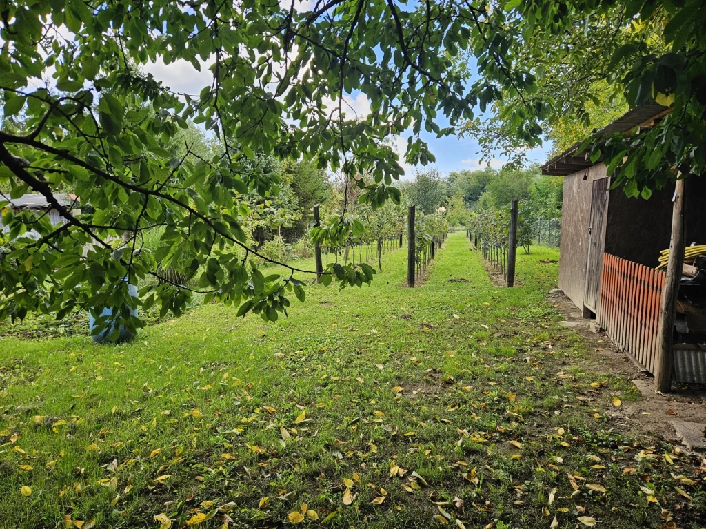 Eladó Telek, Pápa 5.990.000 Ft