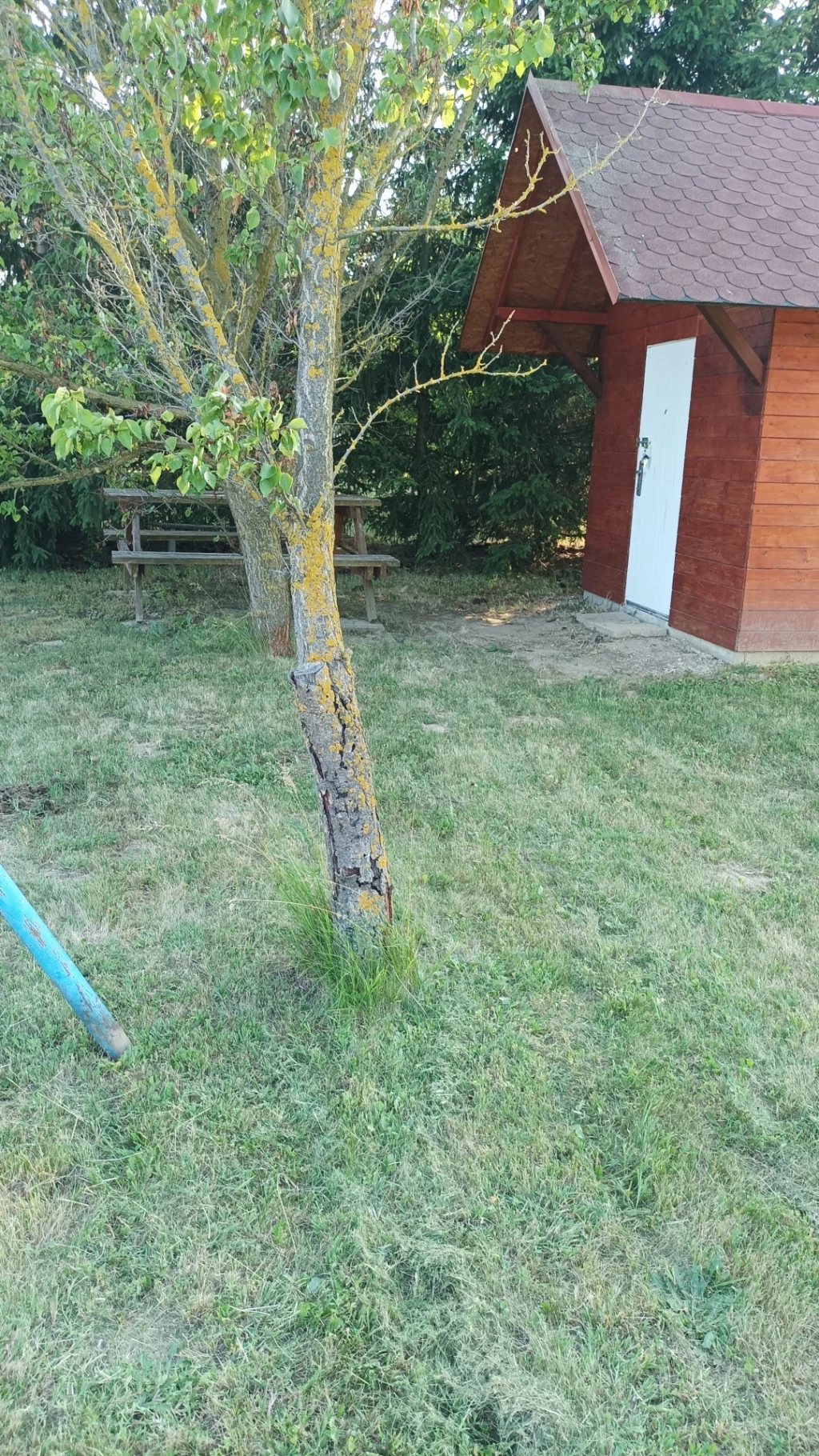 Eladó Telek, Pápa 2.500.000 Ft