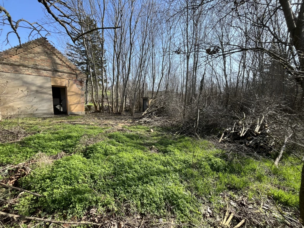 Eladó Telek, Vaszar 3.000.000 Ft