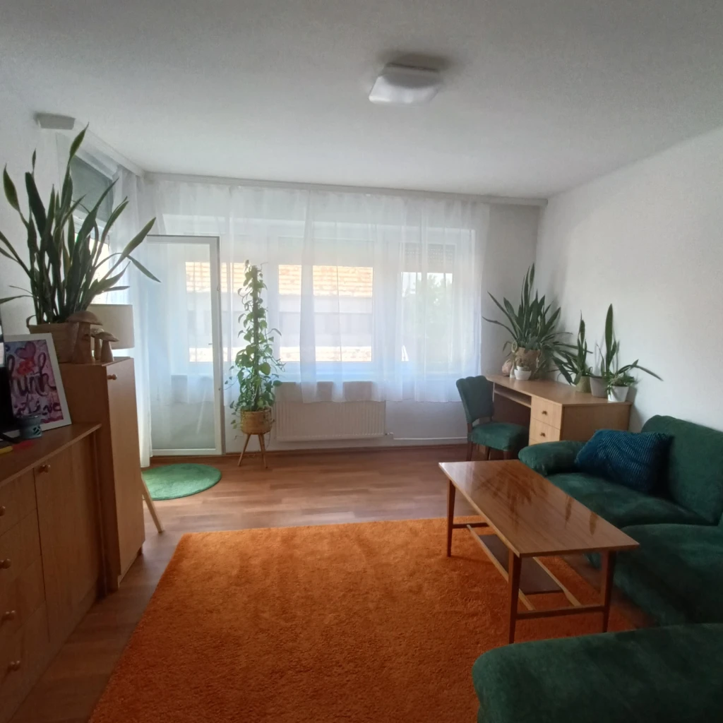 c3-2-name c2-19-name, Pápa