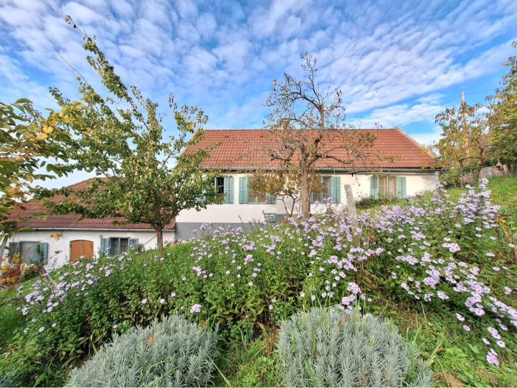 Varázslatos otthon a A Balaton-felvidék egyik legszebb részén, a Szent György-hegy oldalán, Tapolca és Szigliget között – két különálló lakrésszel, panorámával és jelenleg is működő vendégház