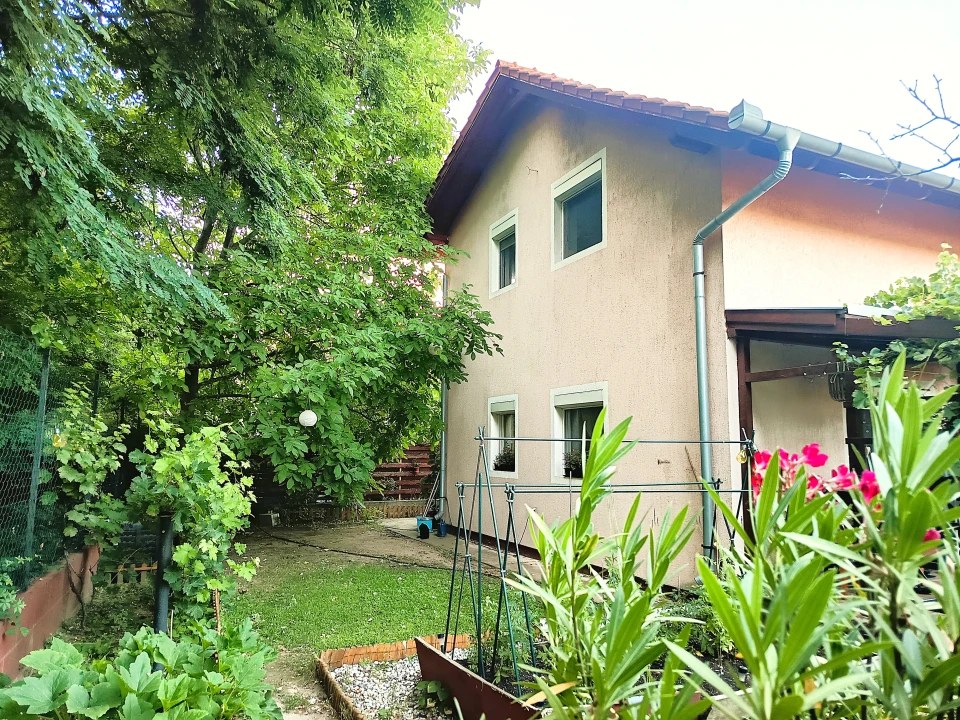 c3-1-name c2-82-name, Szigetszentmiklós