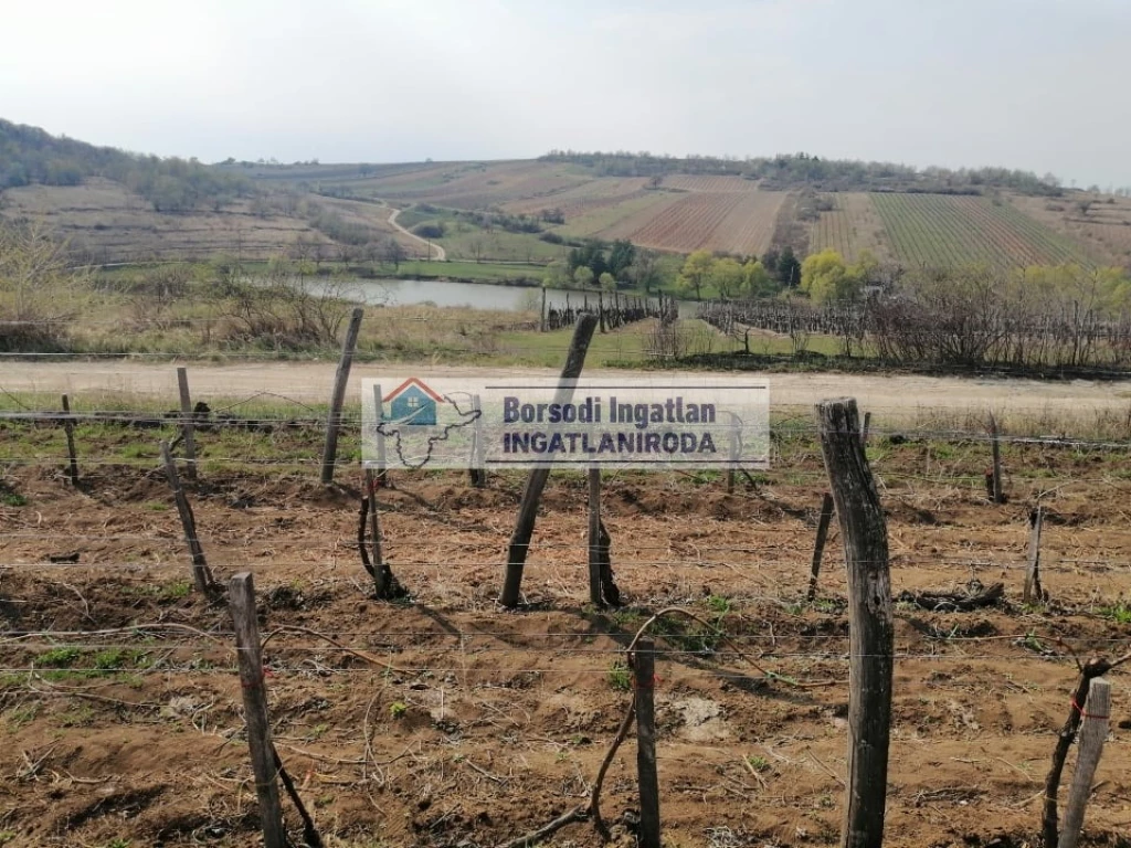 Eladó Mezőgazdasági, Mád 4.500.000 Ft