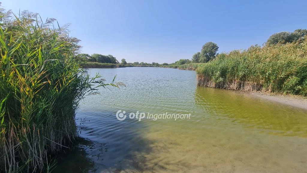 Eladó üdülőtelek, Dunapataj, Bodzás