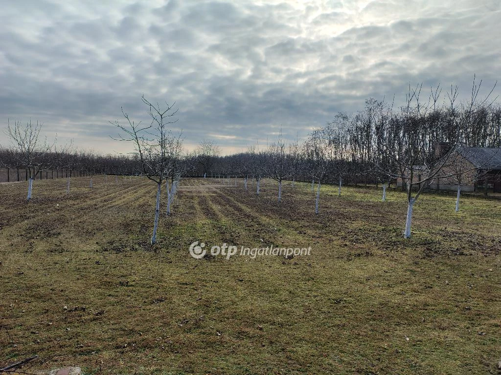 For sale building plot, Kecel, Temető