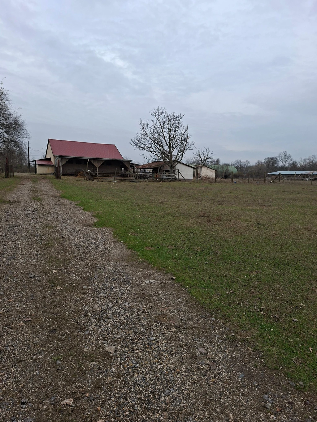 Eladó szántóföld, legelő, Szabadszállás, Vásártér