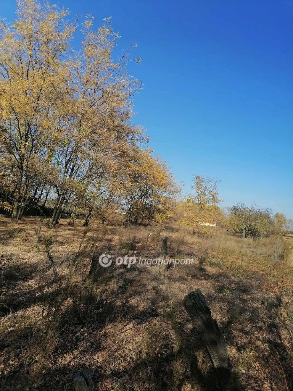 Eladó szántóföld, legelő, Kiskőrös, Masina környéke