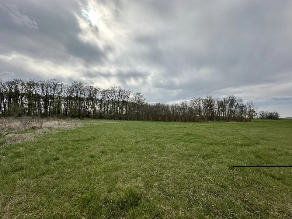 For sale forest, Szeghalom