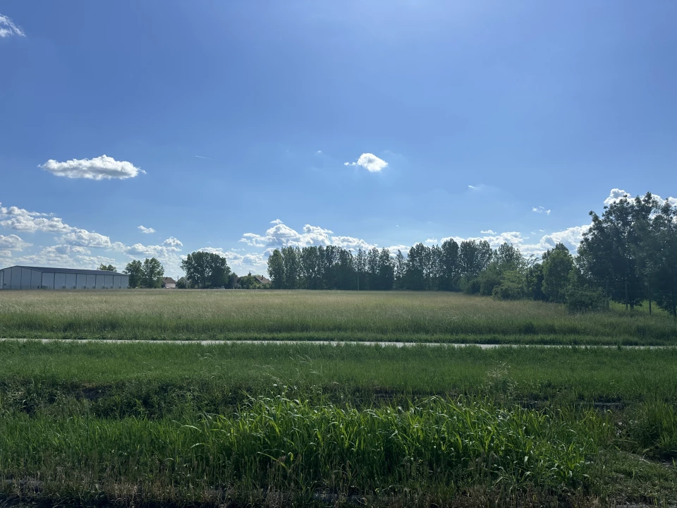 Eladó , Gyomaendrőd