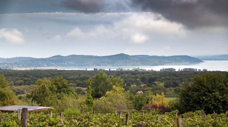 Balatoni panorámás családi birtok eladó!