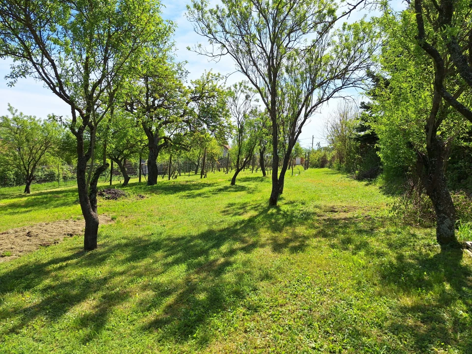 For sale periphery plot, Balatonfüred