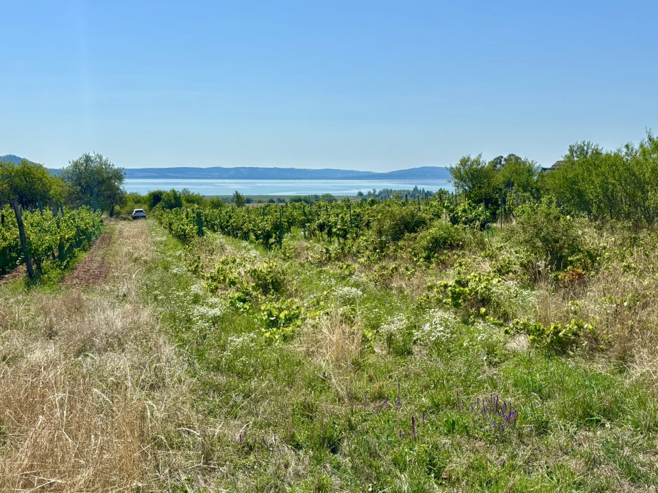 Eladó külterületi telek, Aszófő