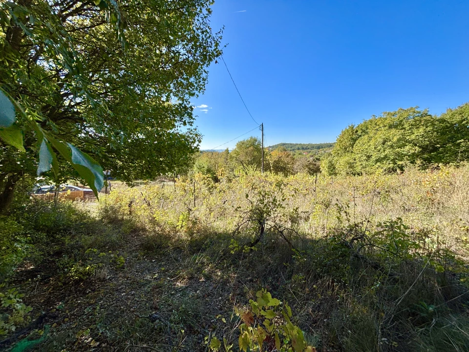 For sale periphery plot, Balatonfüred