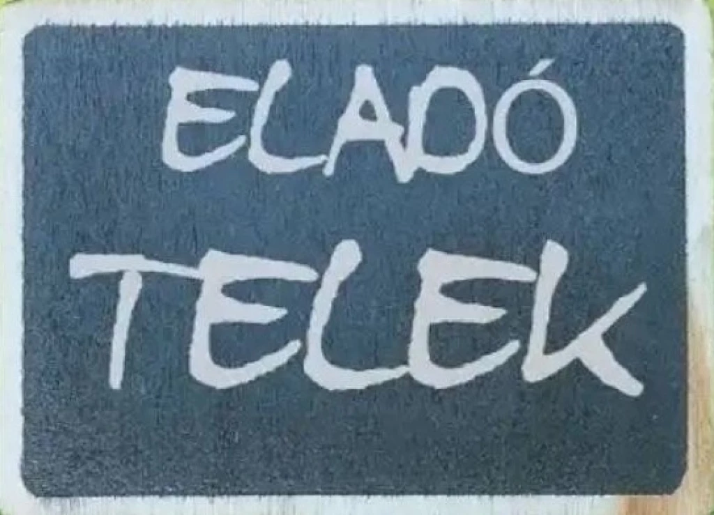 NYÍREGYHÁZA NYÍRSZŐLŐSÖN TELEPÍTETT GYÜMÖLCSÖS ELADÓ.