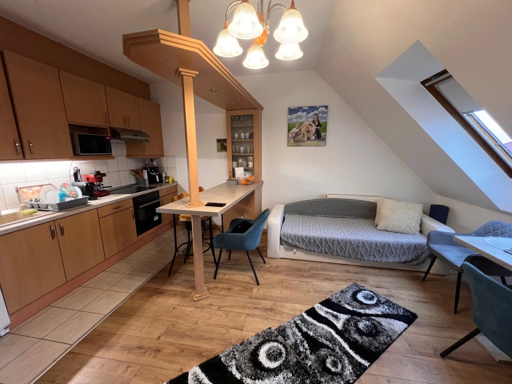 Nyíregyháza, Belvárosban 1 szoba + nappalis, jó állapotú erkélyes lakás eladó!