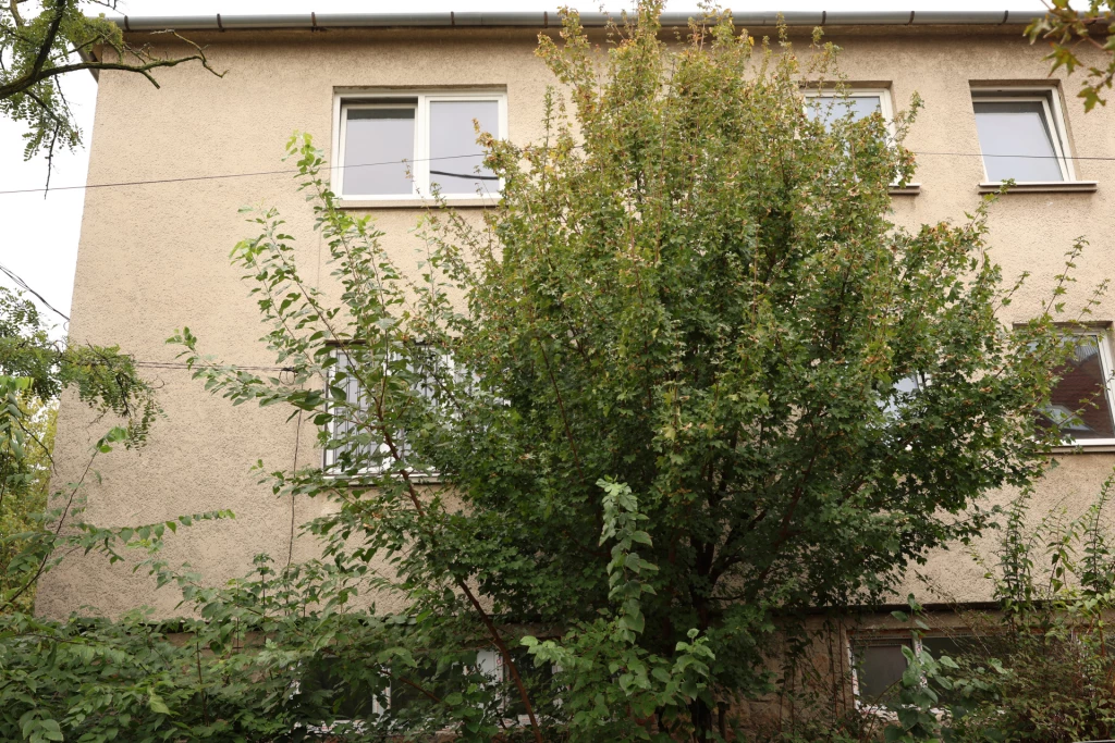 For sale house, Budapest XIV. kerület, Herminamező