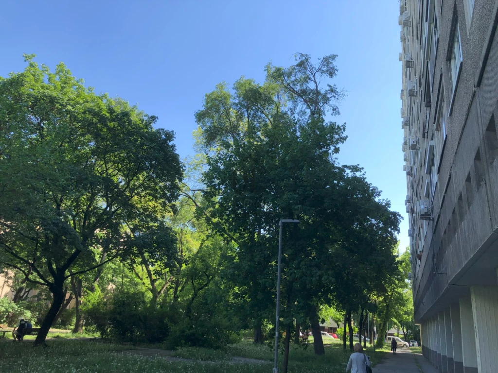 Eladó panellakás, Budapest III. kerület, Óbuda, Solymár utca