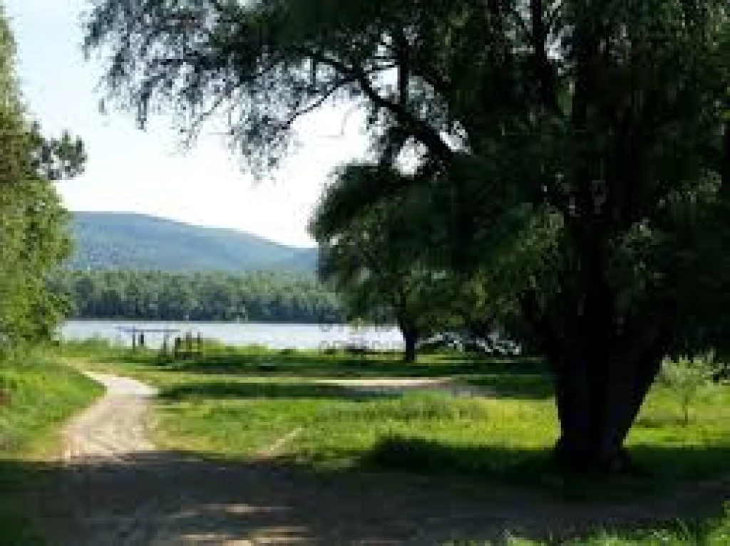 Eladó üdülő, nyaraló, Kismaros, Kismaros