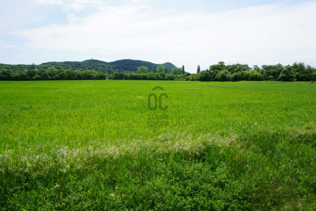 Eladó egyéb mezőgazdasági ingatlan, Aszófő, Aszófő