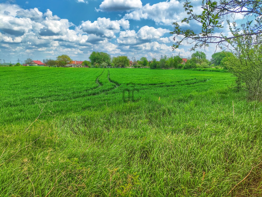 Eladó építési telek, Ősi, Ősi