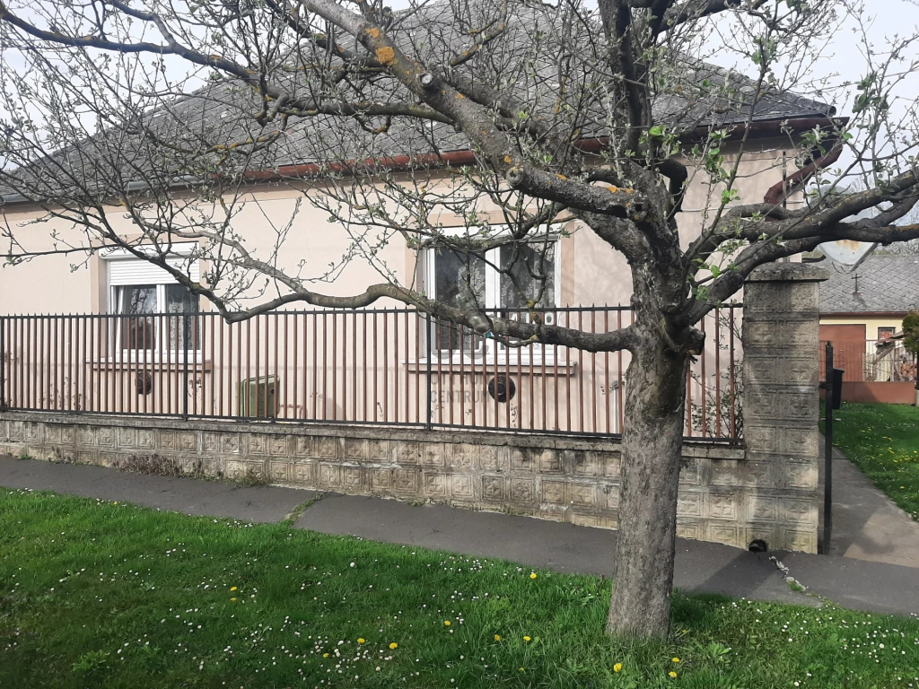 Eladó családi ház, Borzavár, Borzavár