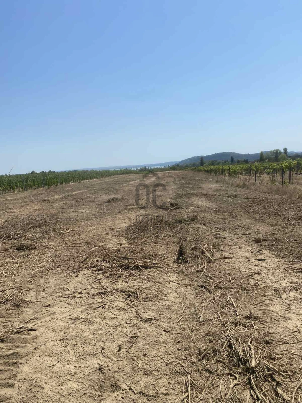 Eladó egyéb mezőgazdasági ingatlan, Balatonfüred, Balatonfüred
