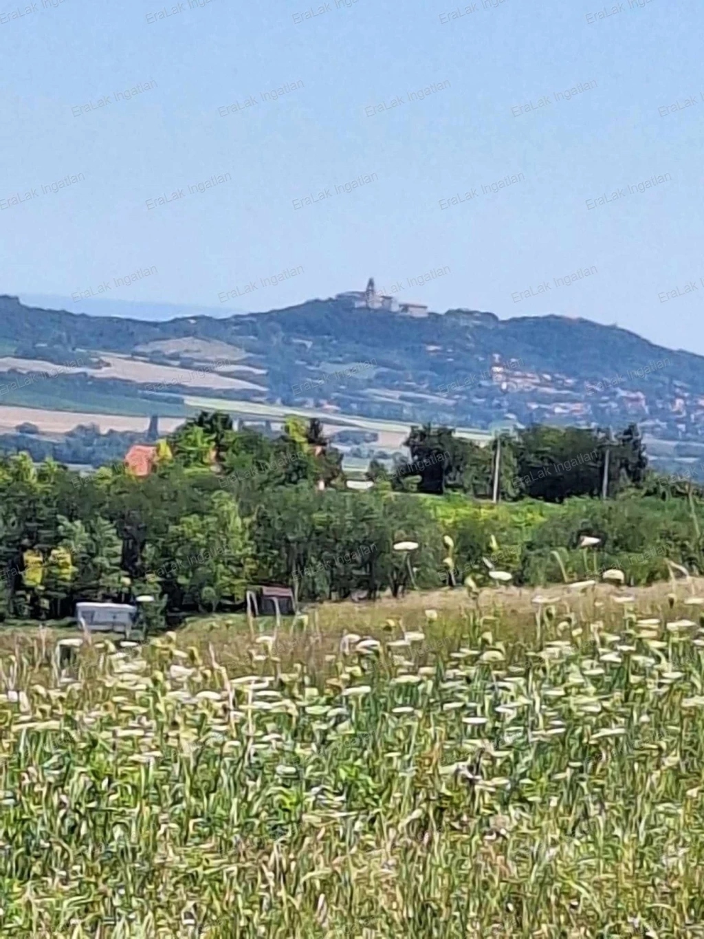 Eladó győrújbaráti örökpanorámás zártkeri ingatlan