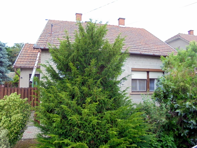 For sale house, Makó, Újváros