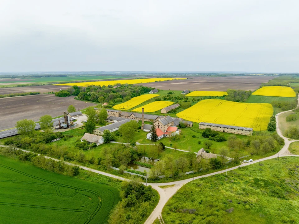 c3-1-name c2-65-name, Fácánkert